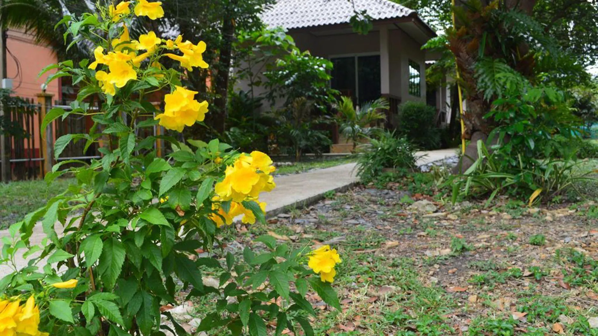 Baan Long Beach Koh Lanta Lodge