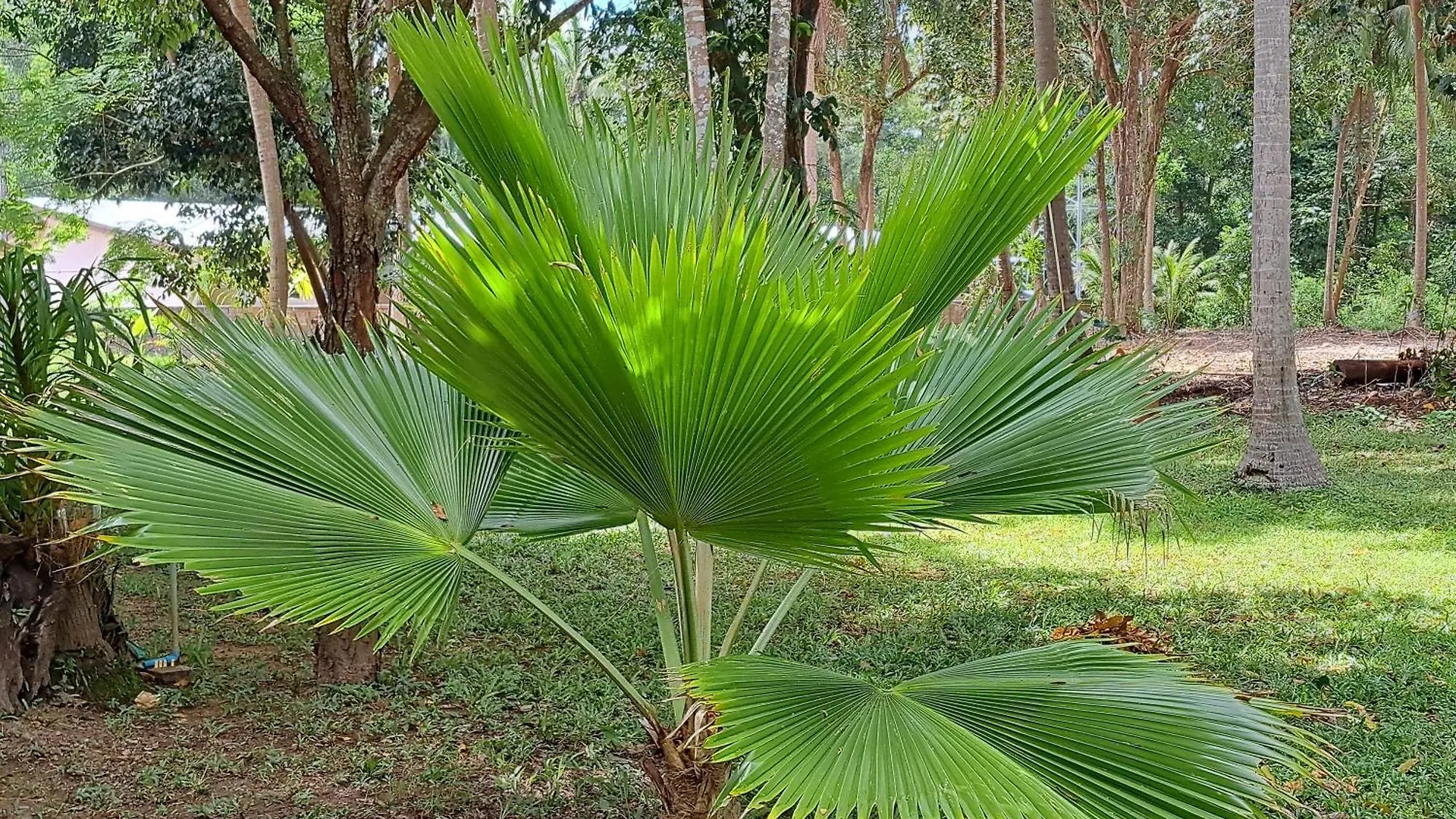 אכסניה קו לנטה Baan Long Beach