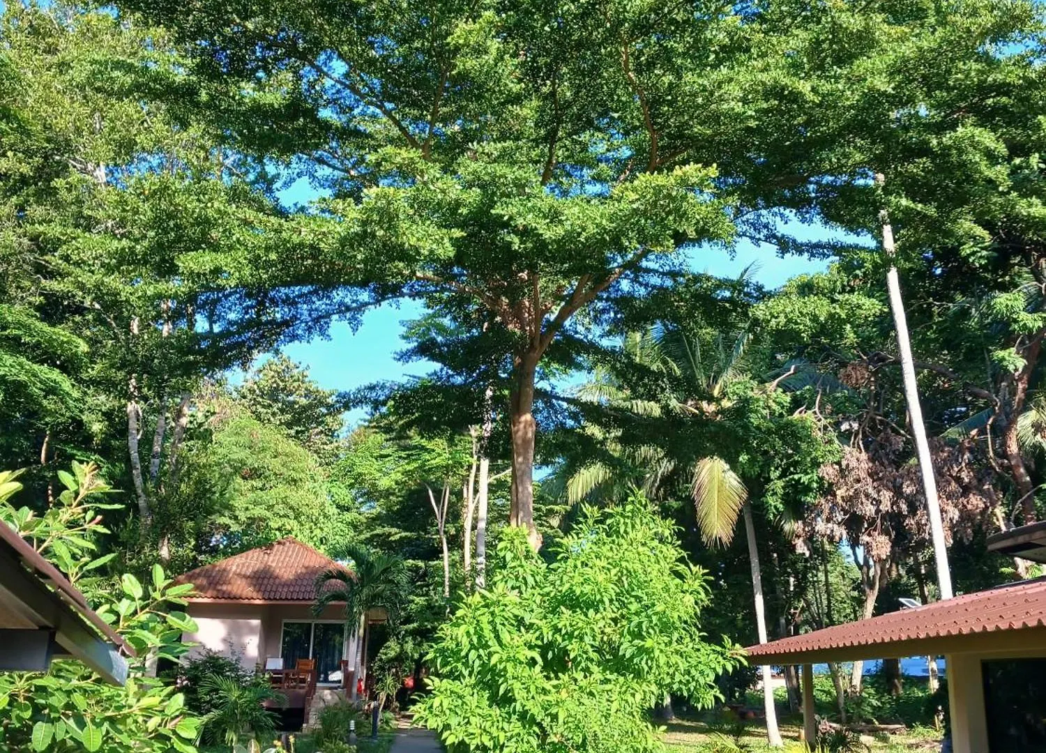 بان لونج بيتش Ko Lanta 0*,